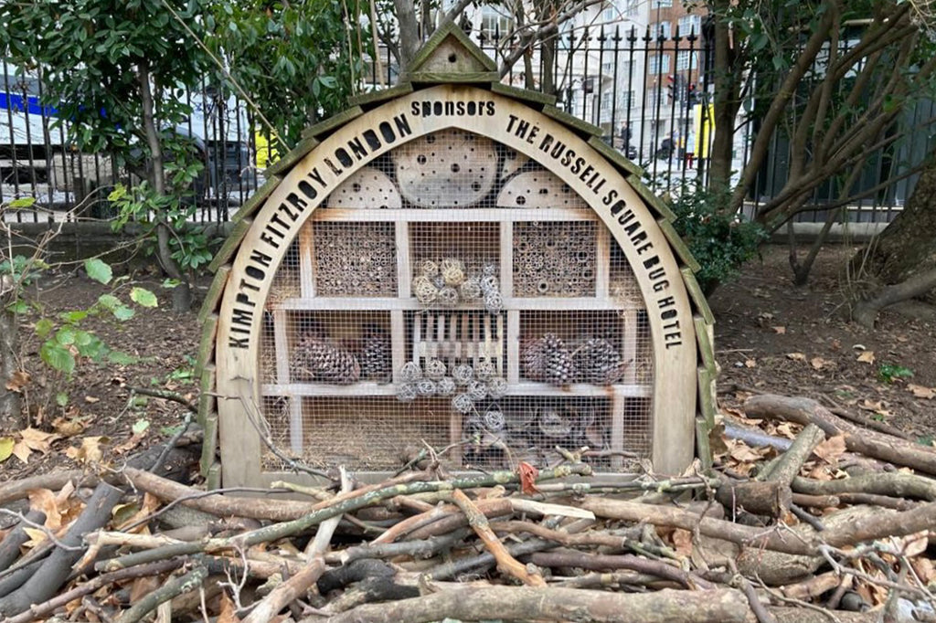 Secret Gardens: The Russell Square Insect Hotel, London